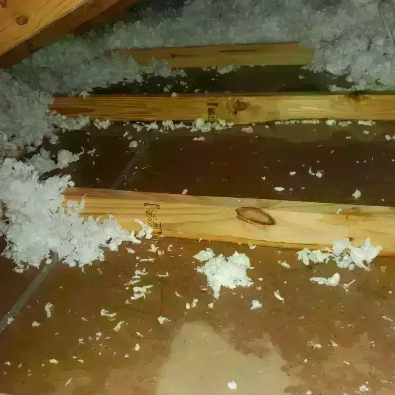 Attic Water Damage in Philippi, WV