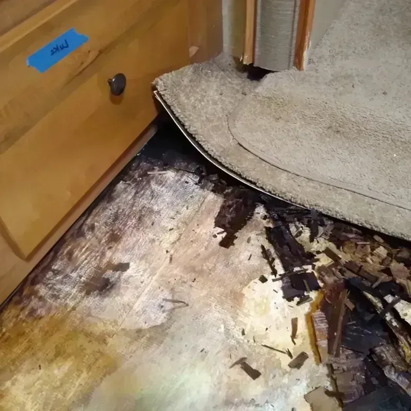 Best Wood Floor Water Damage Service in Philippi, WV